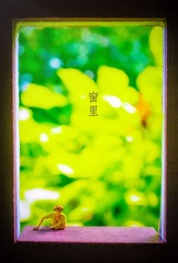 窗里.jpg