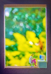 窗外.jpg