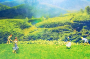 压缩 晨间劳作.jpg
