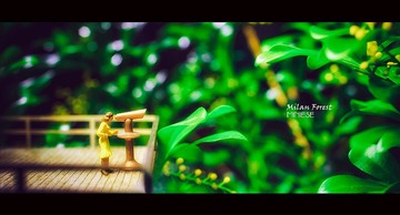 压缩 米兰森林