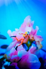 压缩 diver