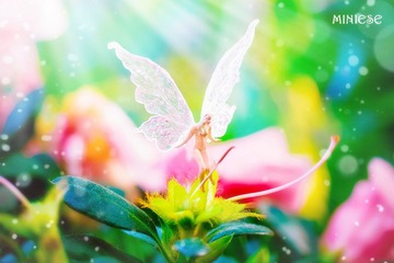 压缩 thefairy_