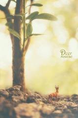 压缩 deer