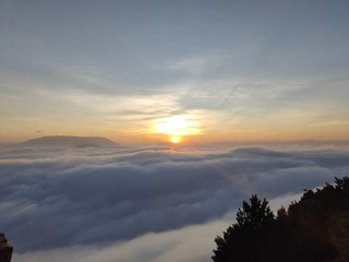 1000076104