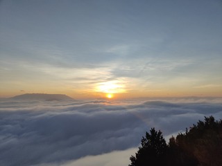 1000076103