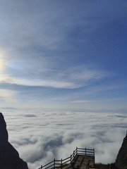 1000075991