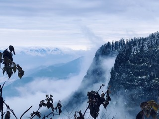 1000028877