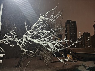 1000003019