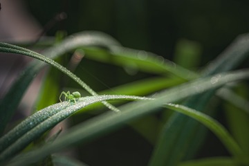 DSC_1737-已增强-NR