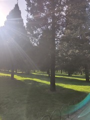 1000267298