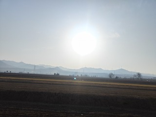 1000038125