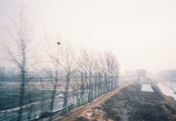 1000026244