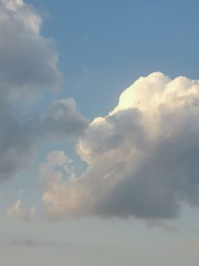 3652065