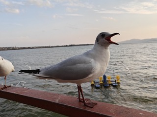 1000103159