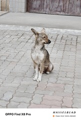 1000005846