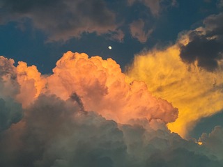 1000006128