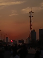 1000035194