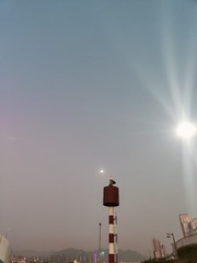 1000079405