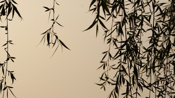 1001650770