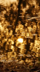 1001595575