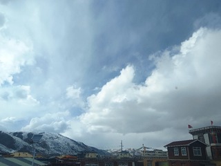 IMG_20250223_155014