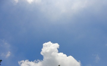 1000011522