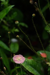 832AAEF5-01A3-4540-8AA0-5FD5901DD123/L0/001