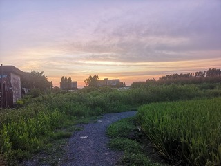 5462318