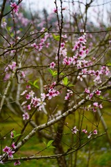 _DSC3005副本.jpg