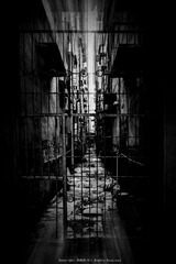 _DSC1224-2_1