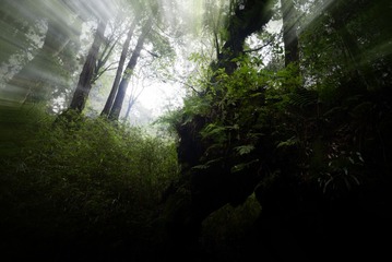 _DSC2398_