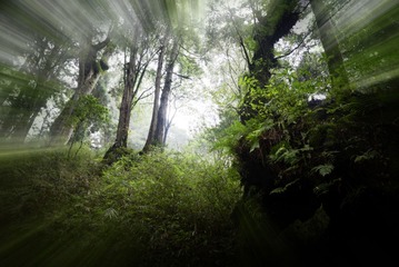 _DSC2401_