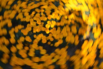 596444