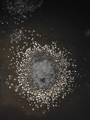 1000005983