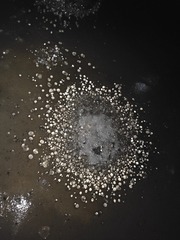 1000005982