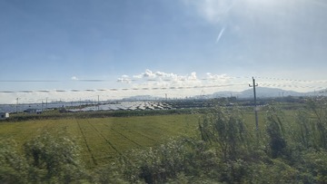 1000003942