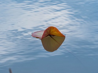 687579