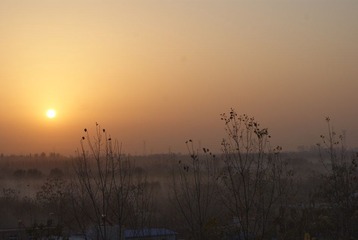 DSC04402.JPG