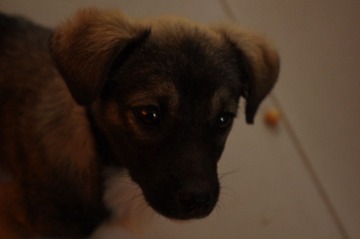 IMGP2273.JPG