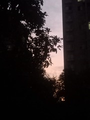 1000003536