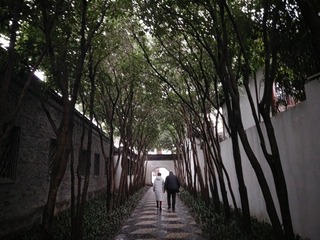 IMG20190214161444_093043