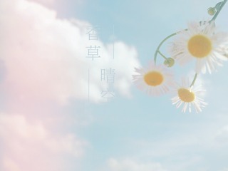 1584871