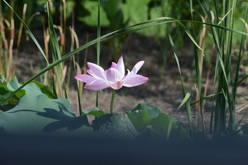DSC_1859.jpg