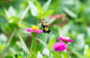 2012-8-11 048.jpg