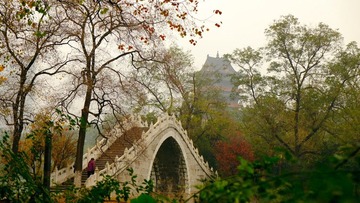 DSCF0277.jpg