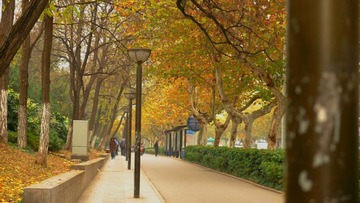 DSCF0316.jpg