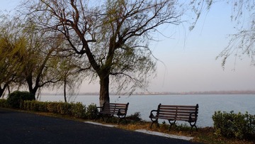 DSCF0619.jpg