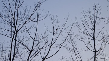 DSCF0626.jpg