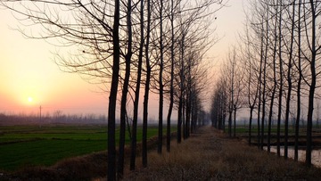 DSCF0629.jpg