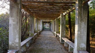 DSCF0650.jpg